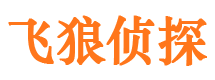 铜官山飞狼私家侦探公司